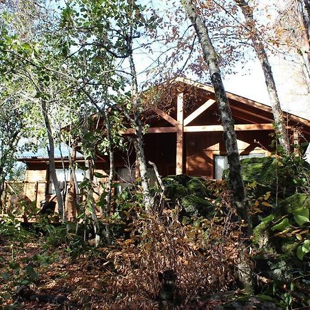 فيلا Cabana Bosque Viejo لاس ترانكاس المظهر الخارجي الصورة