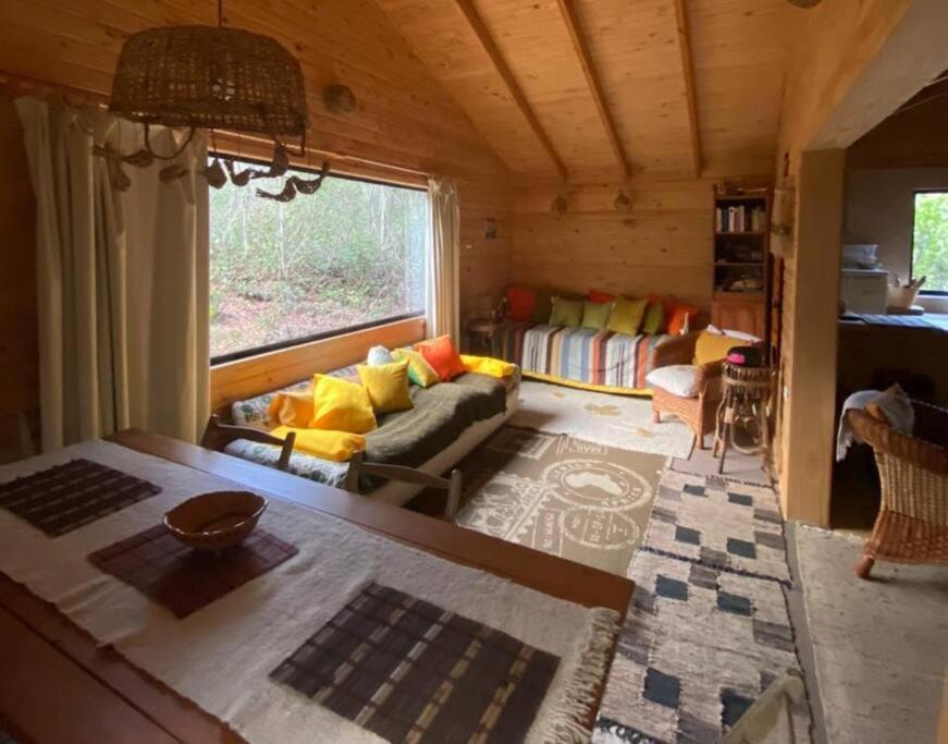 فيلا Cabana Bosque Viejo لاس ترانكاس المظهر الخارجي الصورة